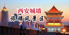 淫荡学生妹小雪中国陕西-西安城墙旅游风景区